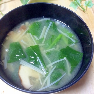 えのきと小松菜と椎茸のお味噌汁